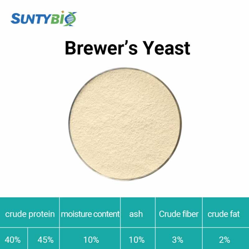 Levure de bière