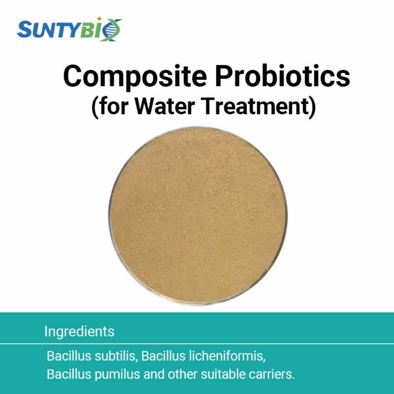Probiotiques composés pour le traitement de l'eau